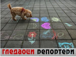 Гледаоци репортери (30. март 2021)