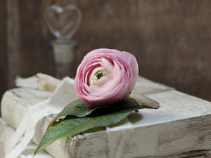 Претпоноћни тренуци - Путникова песма пред ноћ - Владислав Мијушковић и Светислав Вуковић 