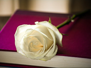  Претпоноћни тренуци - Песме Готфрида Бена - Иван Јагодић 