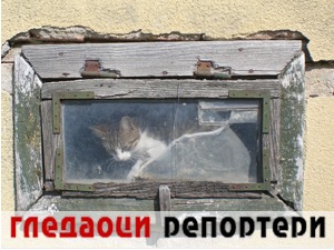 Гледаоци репортери (1. април 2021)