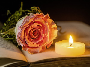 	Претпоноћни тренуци - Песма Новице Тадића - Дејан Чавић