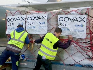 Када ће Србија добити нови контингент вакцина из Ковакс програма
