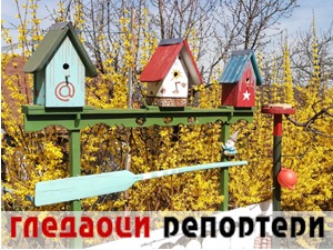 Гледаоци репортери (6. април 2021)