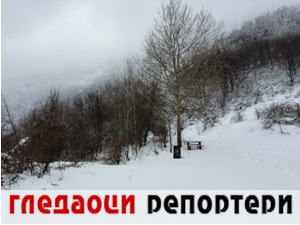 Гледаоци репортери (8. април 2021)