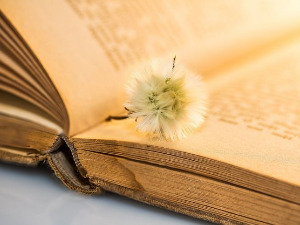 	Претпоноћни тренуци - Песме Душан Матић - Дејан Чавић