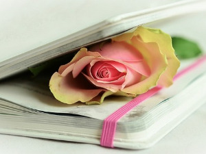 	Претпоноћни тренуци - Песме Васка Попе - Богдан Михаиловић