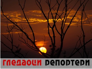 Гледаоци репортери (11. април 2021)