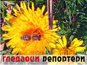 Гледаоци репортери (13. април 2021)