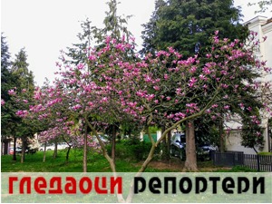 Гледаоци репортери (14. април 2021)