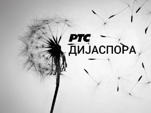 ТВ минијатура: Отаџбина у Вићенци