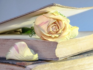  Претпоноћни тренуци - Песме данског песника Олеа Сарвига - Зоран Ранкић 