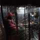 Стара Пазова, мигранти међу врећама декоративних каменчића са Тасоса