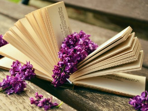 Претпоноћни тренуци - Песме Бате Милановића - Данило Срећковић