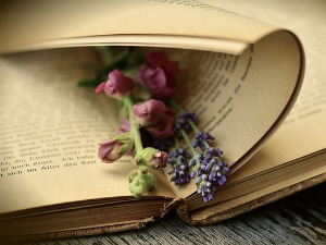 Претпоноћни тренуци - Песме Едварда Еслина Камингса - Богдан Михаиловић