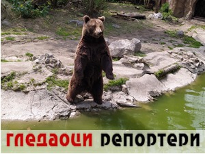 Гледаоци репортери (29. април 2021)