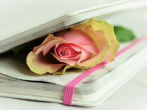 Претпоноћни тренуци - Песме Гжегожа Валчака - Драган Петровић 