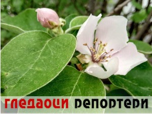 Гледаоци репортери (3. мај 2021)