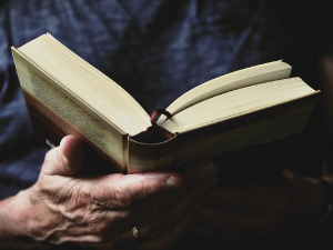 Претпоноћни тренуци - Песме Јулијана Корнхаузер - Добрица Милићевић 