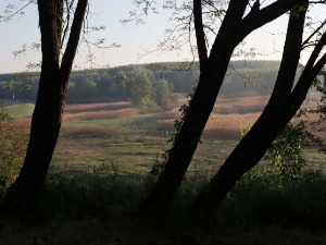 Променљиво облачно, стиже мало свежији ваздух