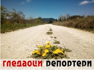 Гледаоци репортери (7. мај 2021)