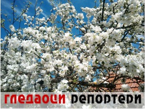 Гледаоци репортери (8. мај 2021)