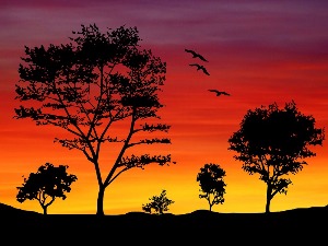 Данас славимо птице и дрвеће