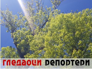 Гледаоци репортери (17. мај 2021)