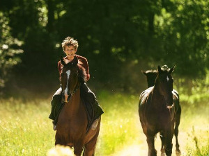 Идемо да крадемо коње
