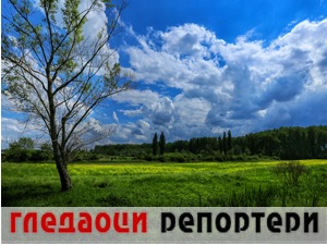 Гледаоци репортери (25. мај 2021)