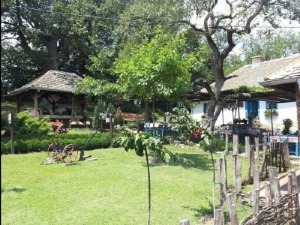 Загрљај Миксер фестивала 