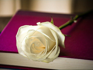 Претпоноћни тренуци - Песме Радивоја Шајтинца - Миладин Манојловић