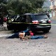 Избори у Мексику, сезона лова на политичаре 
