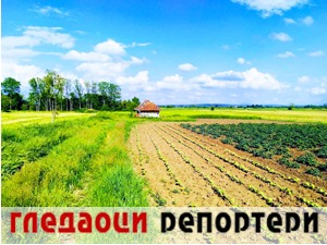 Гледаоци репортери (30. мај 2021)