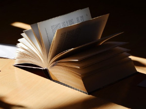 	Претпоноћни тренуци - Делови Мадорових певања Лотреамона - Миладин Манојловић 