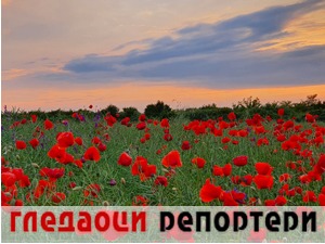 Гледаоци репортери (1. јун 2021)