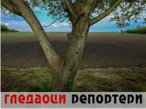 Гледаоци репортери (5. јун 2021)