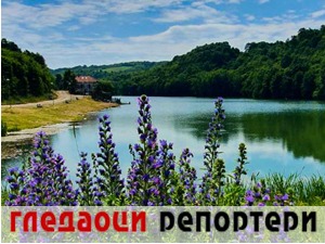 Гледаоци репортери (6. јун 2021)