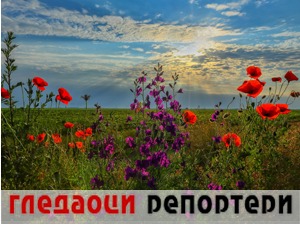 Гледаоци репортери (10. јун 2021)