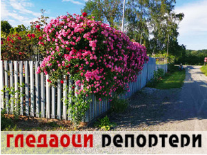 Гледаоци репортери (12. јун 2021)