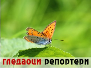 Гледаоци репортери (14. јун 2021)