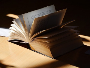 Претпоноћни тренуци - Песме Маргарите Алигер - Јелена Глишић 