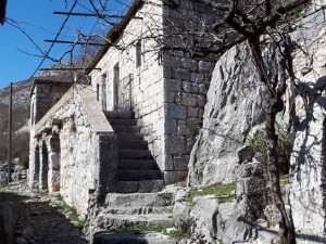 Приступачан програм: Квадратура круга - Окамењени живот (СЗЈ)