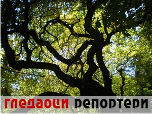 Гледаоци репортери (17. јун 2021)