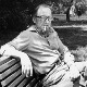 Песничке ведрине: Александар Ристовић 