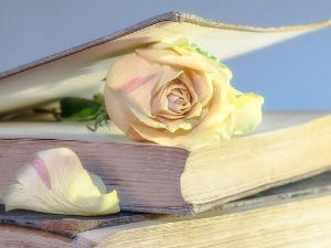 Претпоноћни тренуци - Десет Хаикуа Славка Седлара - Борислав Вучетић 