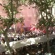 Бура у Шпанији око помиловања каталонских лидера – политички ризик или први корак ка хармонији
