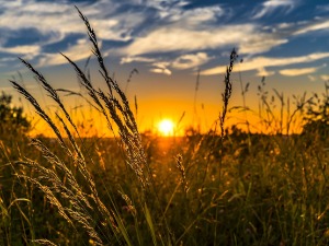Пред нама три тропска дана, на снази наранџасти метео-аларм