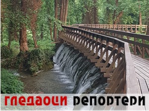 Гледаоци репортери (25. јун 2021)