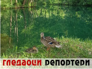 Гледаоци репортери (27. јун 2021)