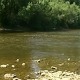 Трагедија на Западној Морави код Чачка, рониоци извукли тело дечака из реке